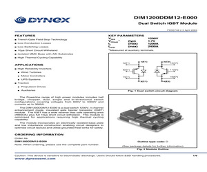 DIM1200DDM12-E000.pdf