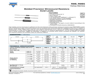 RMB30049900DS09.pdf