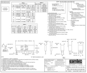 SSW-117-02-TM-D-RA.pdf