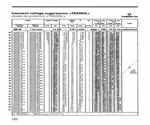 BZW06-10B.pdf