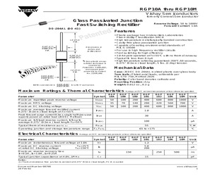 RGP10M.pdf