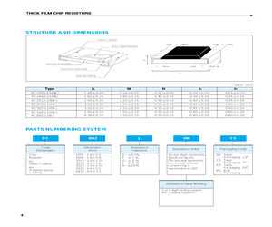 RC6432G100AS.pdf