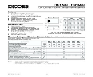 RS1K.pdf