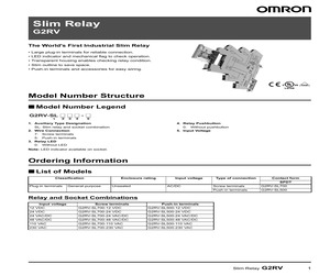 G2RV-SL700 AC/DC24.pdf