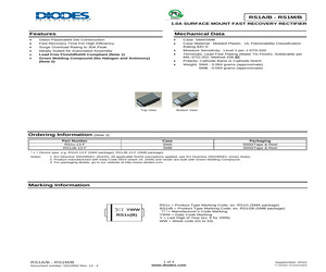 RS1BB-13.pdf