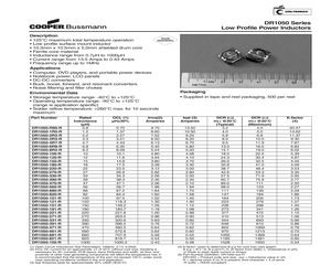 DR1050-100-R.pdf