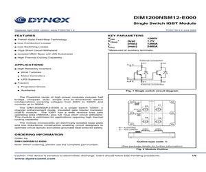 DIM1200NSM12-E000.pdf