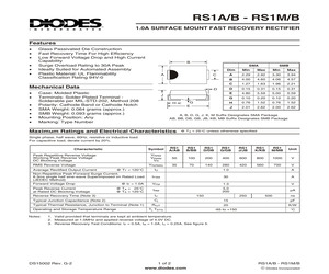 RS1B-7.pdf