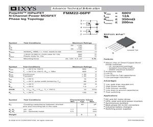 FMM22-06PF.pdf