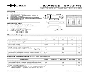 BAV19WS-T3.pdf