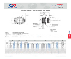 MS3474L24-31PY.pdf