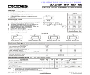 BAS40-06-13.pdf