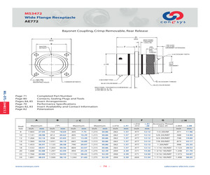 MS3472L24-61SZ.pdf