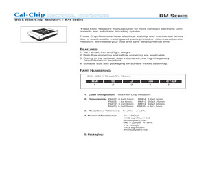 RM02F1050CT-LF.pdf