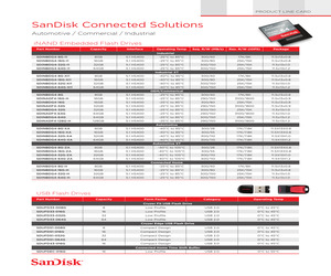 SDSDQAE-032G.pdf